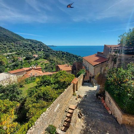 La Casa Sul Blu Albergo Diffuso Pisciotta Εξωτερικό φωτογραφία