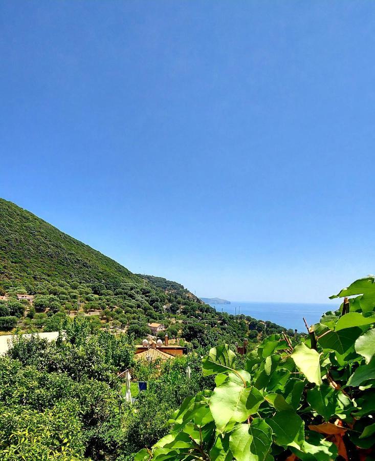 La Casa Sul Blu Albergo Diffuso Pisciotta Εξωτερικό φωτογραφία