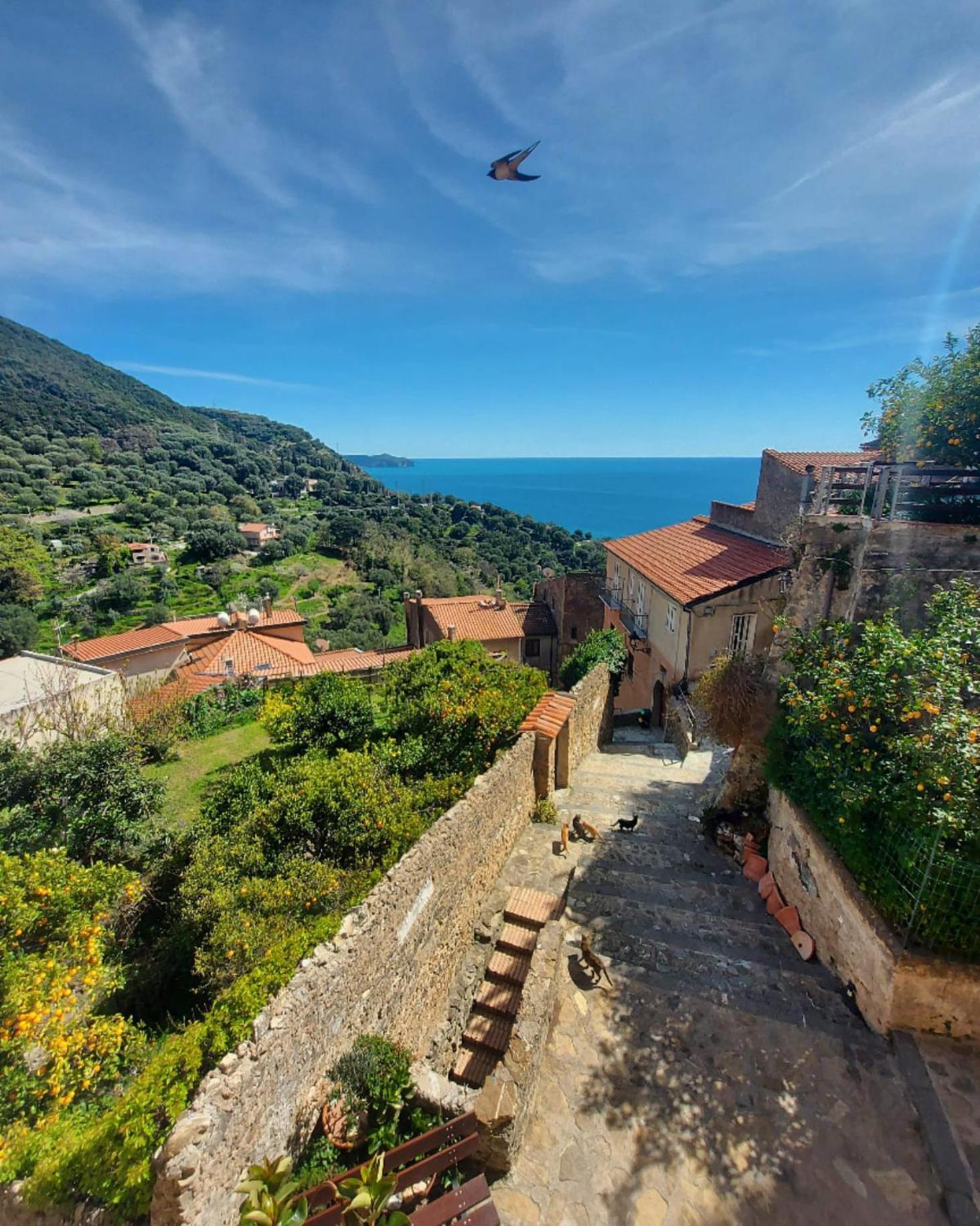 La Casa Sul Blu Albergo Diffuso Pisciotta Εξωτερικό φωτογραφία