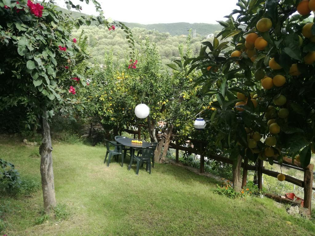 La Casa Sul Blu Albergo Diffuso Pisciotta Εξωτερικό φωτογραφία
