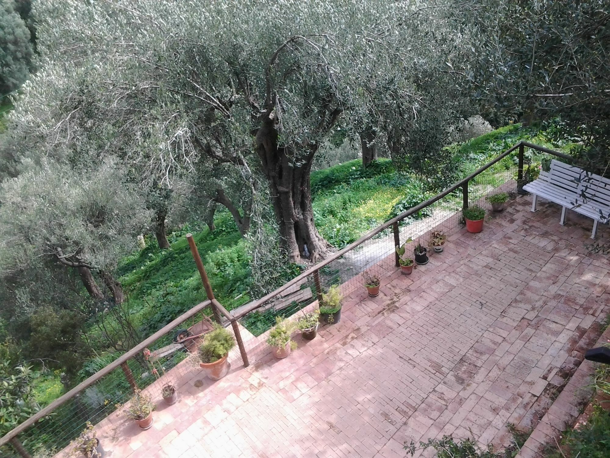 La Casa Sul Blu Albergo Diffuso Pisciotta Εξωτερικό φωτογραφία